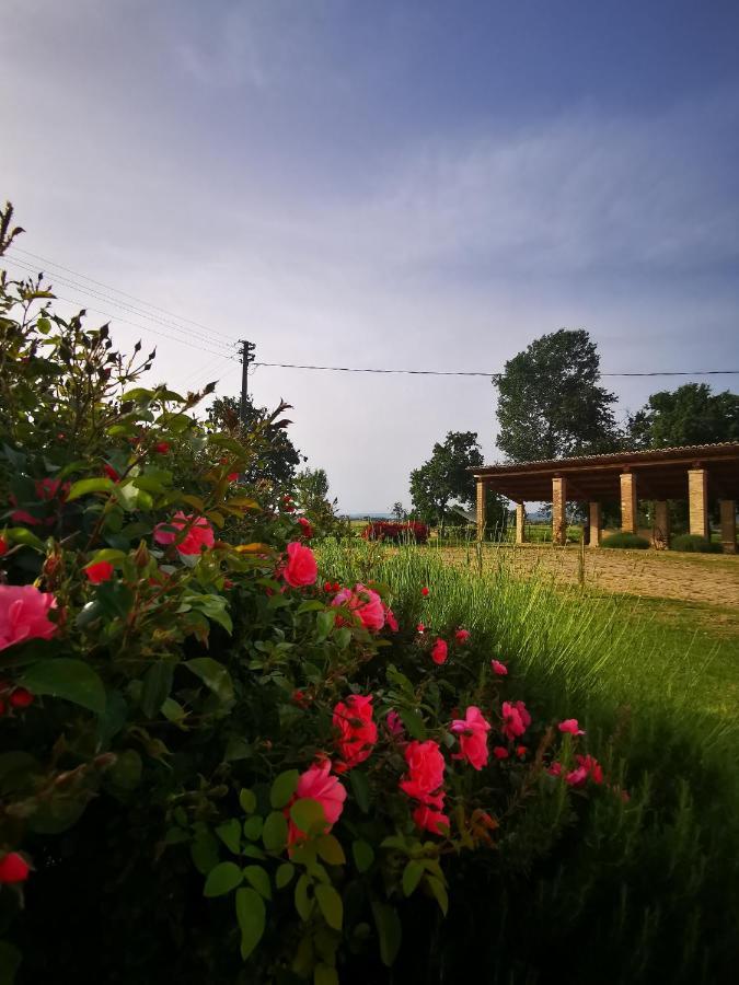 La Casa Dei Tigli Bed & Breakfast Cannara Екстериор снимка