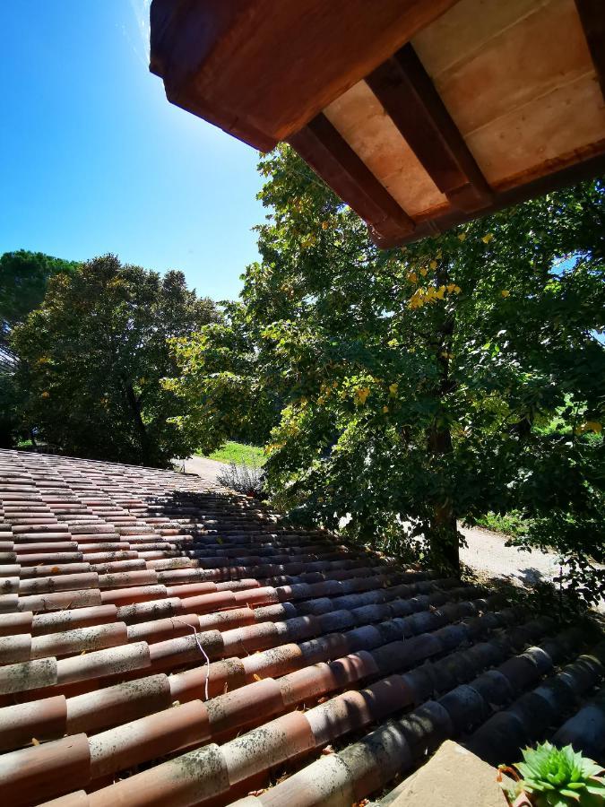 La Casa Dei Tigli Bed & Breakfast Cannara Екстериор снимка