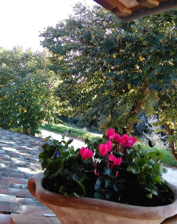 La Casa Dei Tigli Bed & Breakfast Cannara Стая снимка