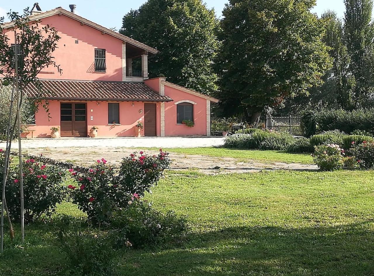 La Casa Dei Tigli Bed & Breakfast Cannara Екстериор снимка